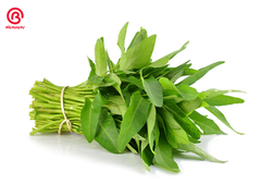 Rau muống