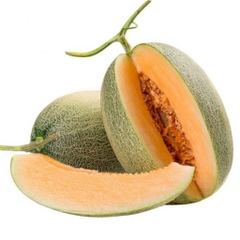 Dưa lưới Đài Loan
