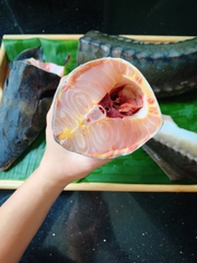 Cá Tầm Sapa