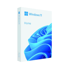 Phần mềm Microsoft Windows Home 11 64Bit USB HAJ-00090