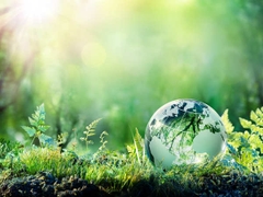 Quy định mới của chính phủ về quản lý môi trường