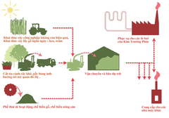 Hoạt động thu gom, xử lý nguyên liệu Biomass của Kim Trường Phúc