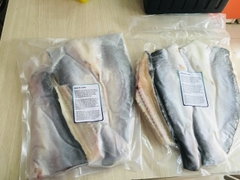 Cá dứa 1 nắng loại nuôi