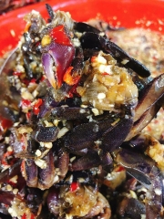 Ba khía Rạch Gốc Cà Mau 600gr