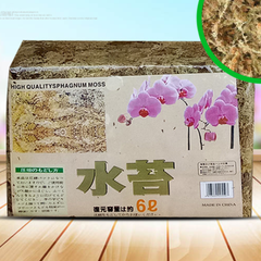 Giá thể rêu khô - Dớn Trắng Chile 100Gr  giữ ẩm cho tháp cây đứng terraplanter - REUCHILE