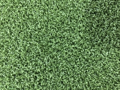 Cỏ sân golf nhân tạo HA-AM10