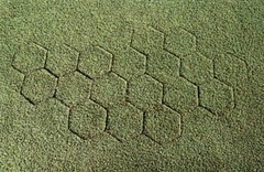 Thiết bị thay thế cỏ sân golf