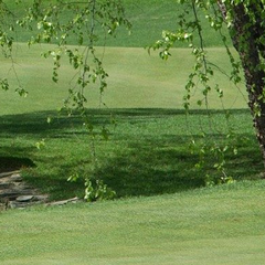 Thuốc diệt cỏ dại cho sân golf Facet 25SC 250ml
