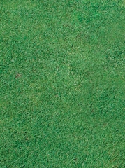 Kính kiểm tra độ ẩm và bệnh trên sân golf Underhill TurfSpy -NG655-01