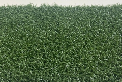 Cỏ sân golf nhân tạo HA-AM10