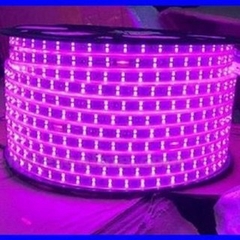 LED CUỘN 100M -2835 - 120LED -2 LINE (220V)