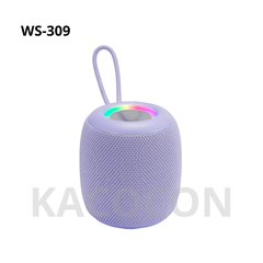 LOA BLUETOOTH MINI WS-309 GIÁ SỈ