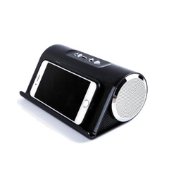 LOA BLUETOOTH LP-V9