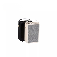 LOA BLUETOOTH M20