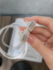 CÁP MẠNG LAN UTP TAHADA CAT6 NETWORK 2M - MODEL: 4502