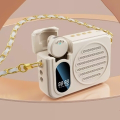 LOA TRỢ GIẢNG BLUETOOTH KY-08 (1 MIC)