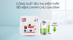 23m² MÁY ION VÀ LỌC KHÍ FP-J30E-B