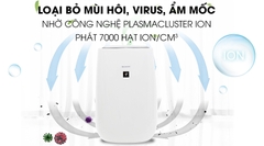 30m² MÁY ION VÀ LỌC KHÍ FP-J40E-W