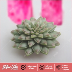 Khuôn silicon Sen Đá Phật Bà làm bánh rau câu 3D 4D nhấn xôi, fondant, socola, nến hanmade