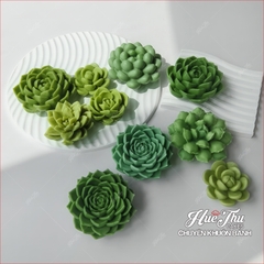 Khuôn silicon Xương Rồng Sen Đá 107 (7 mẫu) làm bánh rau câu 3D 4D nhấn xôi, fondant, socola, nến hanmade