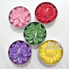 Nến bơ Organic - Nến hoa nổi tealight (hộp 12 viên) decor bàn tiệc, mâm cúng