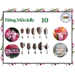 Kim làm thạch rau câu 3D Hoa Mẫu Đơn, Hoa Tulip, Cẩm Nhung, Hồng Nở (bộ 10 kim SET 36)