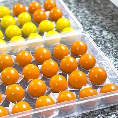 Khay Hộp Đựng Bánh Trôi, Trứng 24 Ô Có Nắp nhựa trong suốt, hộp đựng chè trôi
