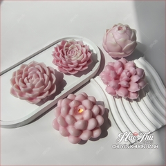 Khuôn silicon Xương Rồng Sen Đá 107 (7 mẫu) làm bánh rau câu 3D 4D nhấn xôi, fondant, socola, nến hanmade