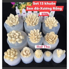 Bộ khuôn silicon Xương Rồng Sen Đá (11 khuôn lớn) làm bánh rau câu 3D 4D nhấn xôi, fondant, socola, nến hanmade