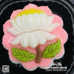 Bộ 20 khuôn rau câu, nhấn xôi Vĩnh Trường RT 250g dùng làm bánh rau câu trung thu, ép xôi