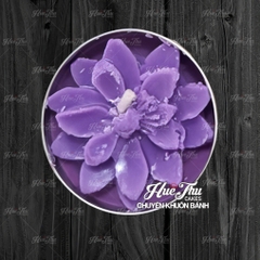Nến bơ Organic - Nến hoa nổi tealight (hộp 12 viên) decor bàn tiệc, mâm cúng