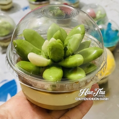 Ly nhựa PET lùn kèm nắp cầu dùng đổ rau câu, đựng đồ uống, làm kem