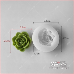 Khuôn silicon Xương Rồng Sen Đá 107 (7 mẫu) làm bánh rau câu 3D 4D nhấn xôi, fondant, socola, nến hanmade