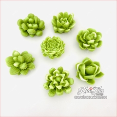 Khuôn silicon Xương Rồng Sen Đá A150 (vỉ 7 hình) làm bánh rau câu 3D 4D nhấn xôi, fondant, socola, nến hanmade