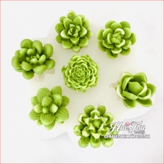 Khuôn silicon Xương Rồng Sen Đá A150 (vỉ 7 hình) làm bánh rau câu 3D 4D nhấn xôi, fondant, socola, nến hanmade