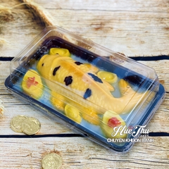 Hộp Đế Đen/Trắng/Vàng 25cm cao 7.5cm HC4 (10/50 hộp) đựng bánh rau câu cá chép, bông lan, xôi, cơm