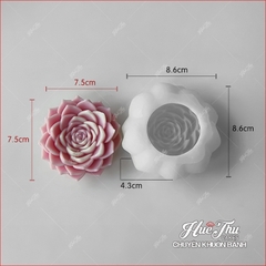 Khuôn silicon Xương Rồng Sen Đá 107 (7 mẫu) làm bánh rau câu 3D 4D nhấn xôi, fondant, socola, nến hanmade