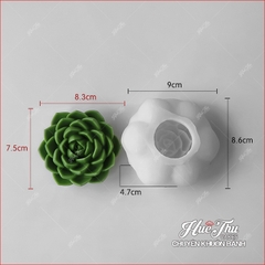 Khuôn silicon Xương Rồng Sen Đá 107 (7 mẫu) làm bánh rau câu 3D 4D nhấn xôi, fondant, socola, nến hanmade