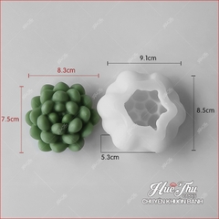Khuôn silicon Xương Rồng Sen Đá 107 (7 mẫu) làm bánh rau câu 3D 4D nhấn xôi, fondant, socola, nến hanmade
