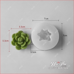 Khuôn silicon Xương Rồng Sen Đá 107 (7 mẫu) làm bánh rau câu 3D 4D nhấn xôi, fondant, socola, nến hanmade