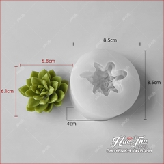 Khuôn silicon Xương Rồng Sen Đá 107 (7 mẫu) làm bánh rau câu 3D 4D nhấn xôi, fondant, socola, nến hanmade