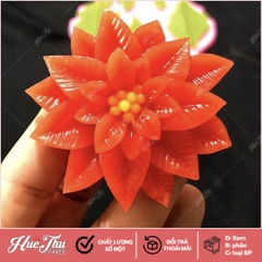Khuôn silicon hoa Trạng Nguyên làm bánh rau câu 3D 4D nhấn xôi, fondant, socola, nến hanmade
