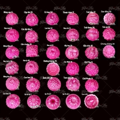 Bộ 35 khuôn rau câu, nhấn xôi Ngọc Lan dùng làm bánh rau câu trung thu, ép xôi