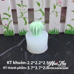 Khuôn silicon Xương Rồng Có Khía (số 9, số 10) làm bánh rau câu 3D 4D nhấn xôi, fondant, socola, nến hanmade