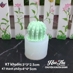 Khuôn silicon Xương Rồng Có Khía (số 9, số 10) làm bánh rau câu 3D 4D nhấn xôi, fondant, socola, nến hanmade