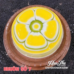 Bộ khuôn Vĩnh Trường 20cm (khuôn số 1-12) chất liệu nhựa PP đổ bánh rau câu, ép xôi, cơm