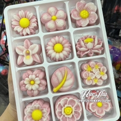 Hộp Nhựa Đế Trắng 12 Ô 5.3cm HC15 (10/50 hộp) Đựng Rau Câu, Bánh Mini, Xôi, Cup Set Tiện Dụng