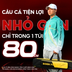 Cần câu rút gọn CC-46 V5 Dragonfly Rice Fishing