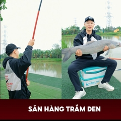 Cần Câu Hoả Mã CC-48 Cao Cấp Bản Kỷ Niệm