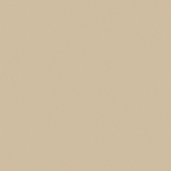 Gạch Granite 2 da 80x80cm Viglacera TS5-802